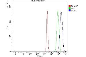 Flow Cytometry analysis of U20S cells using anti-SCML1 antibody (ABIN7602479). (SCML1 anticorps  (AA 8-322))