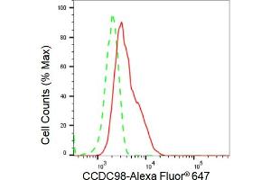 anti-Family with Sequence Similarity 175, Member A (FAM175A) antibody