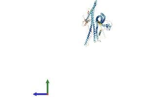AlphaFold protein structure predicition of Mouse Recombinant Rnf20 Protein, UniprotID Q5DTM8