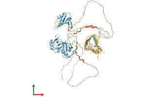 AlphaFold protein structure predicition of Human Recombinant DAZ1 Protein, UniprotID Q9NQZ3