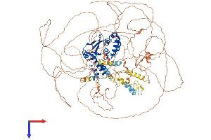 AlphaFold protein structure predicition of Mouse Recombinant Otud4 Protein, UniprotID B2RRE7