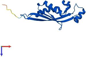 AlphaFold protein structure predicition of Human Recombinant PTS Protein, UniprotID Q03393