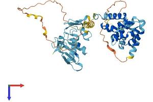 AlphaFold protein structure predicition of Human Recombinant EIF5 Protein, UniprotID P55010