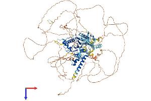 AlphaFold protein structure predicition of Human Recombinant SENP6 Protein, UniprotID Q9GZR1