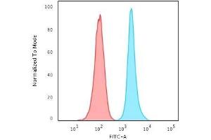 Flow Cytometric Analysis of HeLa cells. (Ki-67 anticorps  (AA 2293-2478))
