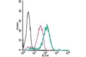 Cell surface detection of CX3CR1 in live intact human THP-1 monocytic leukemia cells: (black line) Cells.