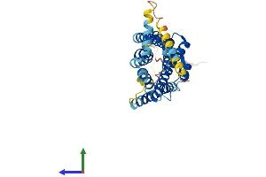 AlphaFold protein structure predicition of Human Recombinant SSTR2 Protein, UniprotID P30874