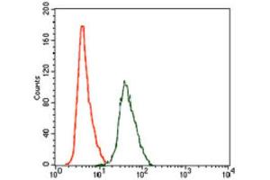 Flow Cytometry (FACS) image for anti-rho GDP Dissociation Inhibitor (GDI) alpha (ARHGDIA) (AA 1-204) antibody (ABIN1844919)