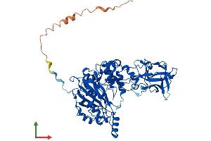 AlphaFold protein structure predicition of Mouse Recombinant Galnt12 Protein, UniprotID Q8BGT9