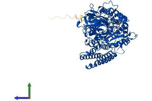 AlphaFold protein structure predicition of Mouse Recombinant Folh1 Protein, UniprotID O35409