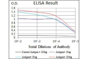 Red: Control Antigen (100ng) ; Purple: Antigen (10ng) ; Green: Antigen (50ng) ; Blue: Antigen (100ng). (SRY anticorps  (AA 1-204))