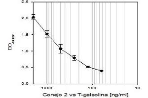 Indirect ELISA (Gelsolin anticorps  (C-Term))
