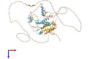 AlphaFold protein structure predicition of Human Recombinant HIC2 Protein, UniprotID Q96JB3
