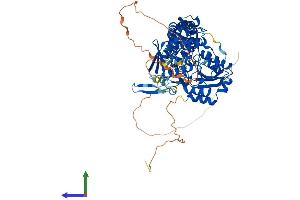AlphaFold protein structure predicition of Mouse Recombinant Pcif1 Protein, UniprotID P59114
