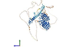 AlphaFold protein structure predicition of Human Recombinant RPH3A Protein, UniprotID Q9Y2J0