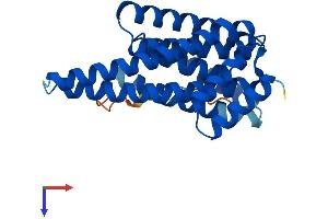 AlphaFold protein structure predicition of Human Recombinant YWHAE Protein, UniprotID P62258