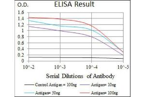 ELISA image for anti-Keratin 13 (KRT13) (AA 143-295) antibody (ABIN1845564) (Cytokeratin 13 anticorps  (AA 143-295))