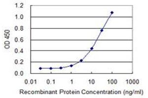 Detection limit for recombinant GST tagged INPP1 is 0. (INPP1 anticorps  (AA 300-399))