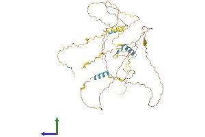 AlphaFold protein structure predicition of Human Recombinant FAM222A Protein, UniprotID Q5U5X8