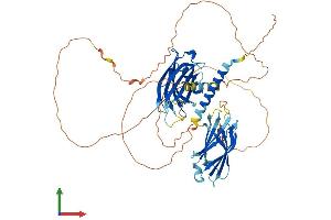 AlphaFold protein structure predicition of Human Recombinant SYT14 Protein, UniprotID Q8NB59
