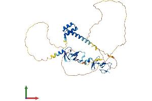 AlphaFold protein structure predicition of Mouse Recombinant Lhx1 Protein, UniprotID P63006