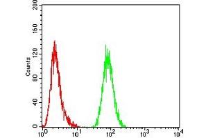 Flow cytometric analysis of Hela cells using MSH6 mouse mAb (green) and negative control (red).