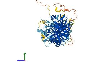 AlphaFold protein structure predicition of Human Recombinant TYSND1 Protein, UniprotID Q2T9J0