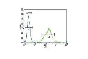 GABRA2 Antibody (C-term) (ABIN653245 and ABIN2842770) flow cytometric analysis of NCI- cells (right histogram) compared to a negative control cell (left histogram).