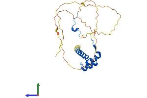 AlphaFold protein structure predicition of Mouse Recombinant Hoxb6 Protein, UniprotID P09023