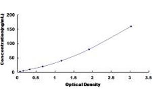 Typical standard curve (IGFBP6 Kit ELISA)