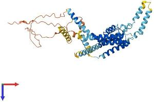 AlphaFold protein structure predicition of Mouse Recombinant Kcnk18 Protein, UniprotID Q6VV64
