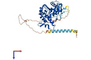 AlphaFold protein structure predicition of Mouse Recombinant Hs3st2 Protein, UniprotID Q673U1