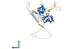 AlphaFold protein structure predicition of Mouse Recombinant Syt3 Protein, UniprotID O35681