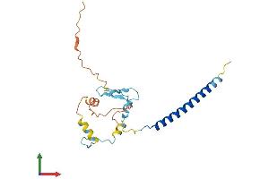 AlphaFold protein structure predicition of Human Recombinant MBD3L1 Protein, UniprotID Q8WWY6