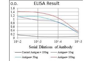 Black line: Control Antigen (100 ng), Purple line: Antigen(10 ng), Blue line: Antigen (50 ng), Red line: Antigen (100 ng),