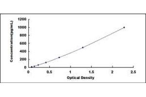 Typical standard curve (MYH4 Kit ELISA)