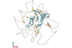 AlphaFold protein structure predicition of Mouse Recombinant Zfpm1 Protein, UniprotID O35615