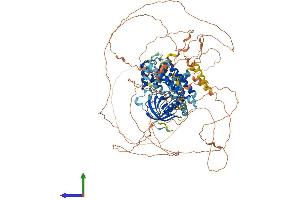 AlphaFold protein structure predicition of Mouse Recombinant Psd Protein, UniprotID Q5DTT2
