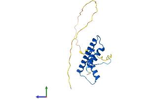 AlphaFold protein structure predicition of Mouse Recombinant Taf12 Protein, UniprotID Q8VE65