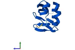 AlphaFold protein structure predicition of Human Recombinant MOCS2 Protein, UniprotID O96033
