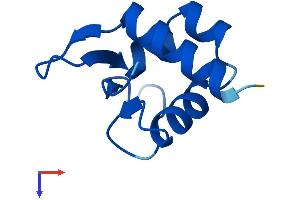 AlphaFold protein structure predicition of Mouse Recombinant Abracl Protein, UniprotID Q4KML4