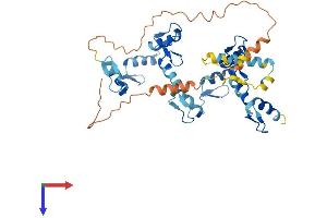 AlphaFold protein structure predicition of Human Recombinant ZNF558 Protein, UniprotID Q96NG5