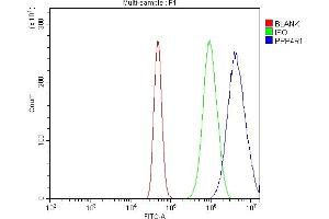 Flow Cytometry analysis of A431 cells using anti-PPP4R1 antibody (ABIN7602911). (PPP4R1 anticorps  (C-Term))