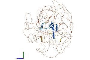 AlphaFold protein structure predicition of Human Recombinant EMSY Protein, UniprotID Q7Z589