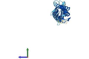 AlphaFold protein structure predicition of Human Recombinant LHFPL3 Protein, UniprotID Q86UP9
