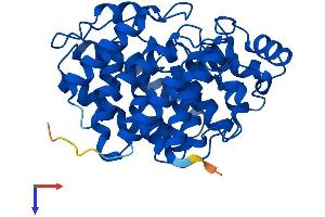 AlphaFold protein structure predicition of Mouse Recombinant Adprh Protein, UniprotID P54923
