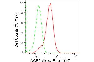 Flow cytometric analysis of AGR2 expression in HepG2 cells using AGR2 antibody (ABIN7797627), 1:2,000). (Recombinant AGR2 anticorps)