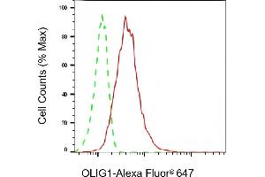 Flow cytometric analysis of OLIG1 expression in HepG2 cells using OLIG1 antibody (ABIN7799700), 1:2,000). (Recombinant OLIG1 anticorps)