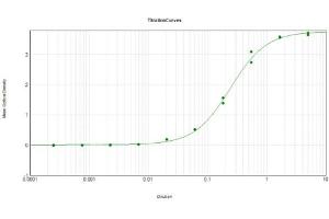 anti-Mutarotase antibody (Biotin)