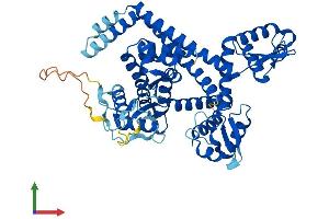 AlphaFold protein structure predicition of Mouse Recombinant Polr3c Protein, UniprotID Q9D483